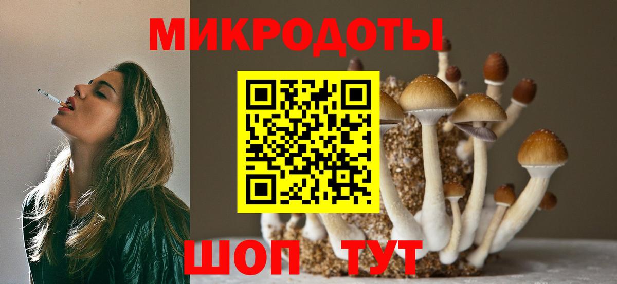 Псилоцибиновые грибы GOLDEN TEACHER  Вход с VPN  Галлюциногенные грибы прущие грибы  Ялта 